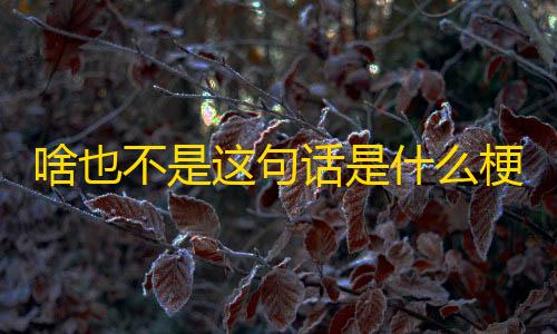 暗区突围开挂网站啥也不是这句话是什么梗